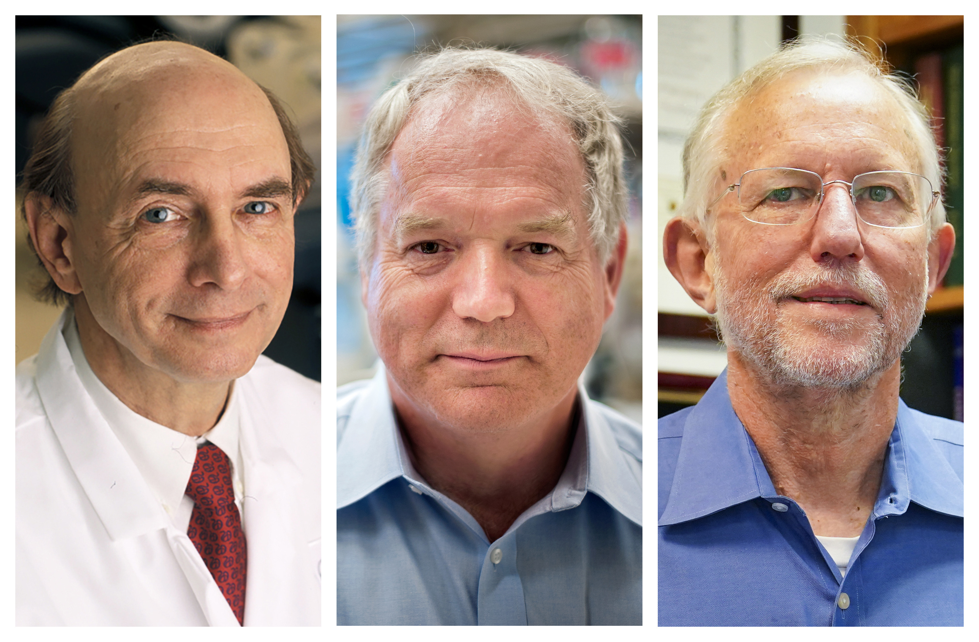 This combination of photos shows, from left, Harvey J. Alter, Charles M. Rice, and Michael Houghton who jointly won the Nobel Prize for medicine on Monday, Oct. 5, 2020, for their discovery of the hepatitis C virus. The major source of liver disease affects millions worldwide. (Rhoda Baer/National Institutes of Health, Richard Siemens/University of Alberta, Photo: AP
