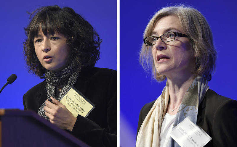 This Tuesday, Dec. 1, 2015 file combo image shows Emmanuelle Charpentier, left, and Jennifer Doudna, both speaking at the National Academy of Sciences international summit on the safety and ethics of human gene editing, in Washington. Photo: AP/ File)