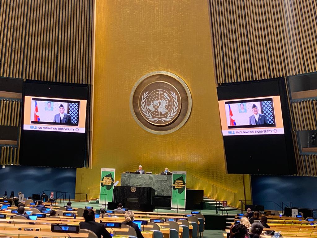 Prime Minister KP Sharma Oli addressing the u2018UN Summit on Biodiversityu2019 held on the margins of the 75th Session of the UN General Assembly, on Thrusday, October 1, 2020. Photo Courtesy:  Permanent Mission of Nepal to the United Nations