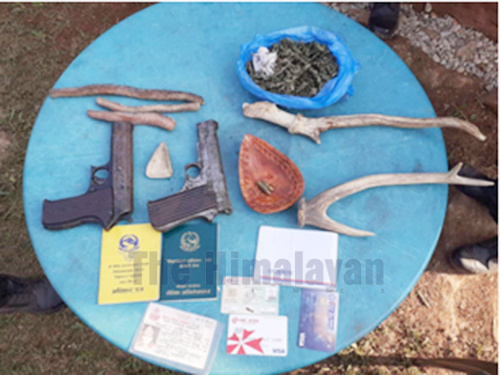 A view of automatic pistols, antlers, marijuana, documents among other items seized by police in a house raid in Jyamire Swanra, Bandipur Rural Municipality-6, Tanahun district, on Tuesday, October 20, 2020. Photo: Madan Wagle/THT