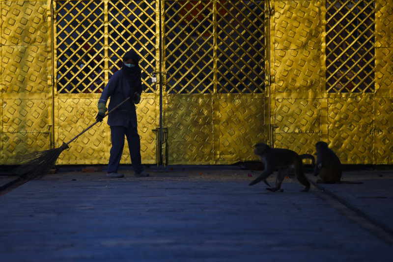 Photo: Skanda Gautam/ THT