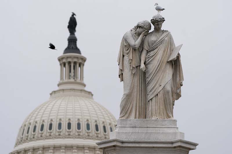 This undated image shows birds flying around the Peace Monument, Friday, Jan. 8, 2021, on Capitol Hill in Washington, US. Photo: AP